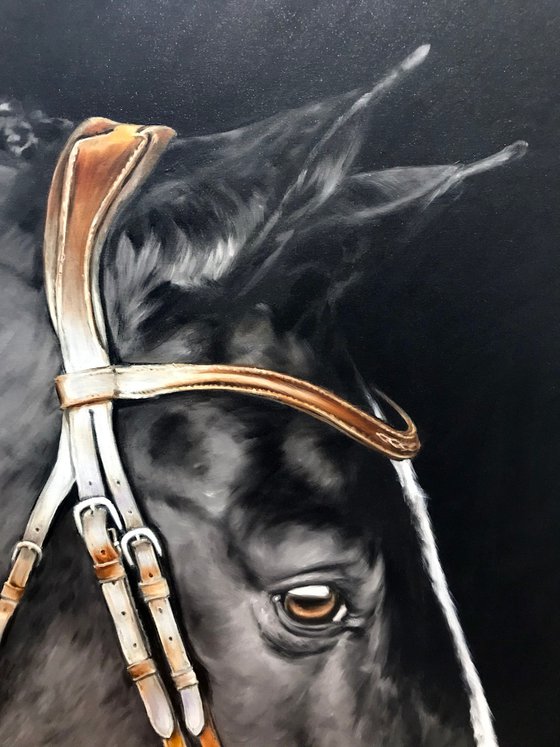 Oil painting with a horse "Black Prince" 80 * 60 cm