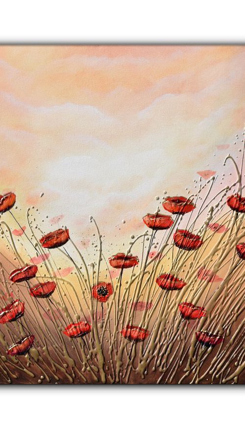 Heavenly Poppies by Amanda Dagg