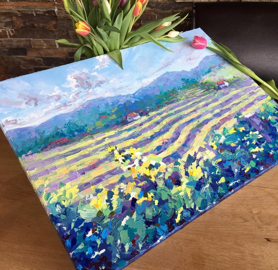"The vineyards of Haloze"