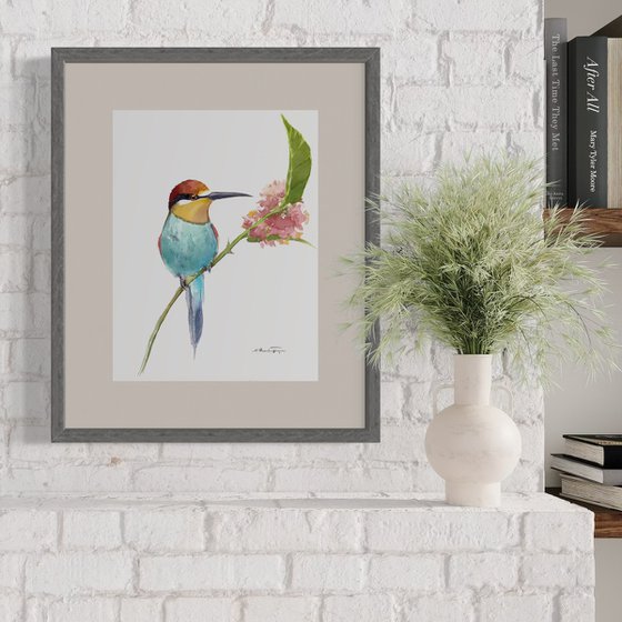 Bee-Eater