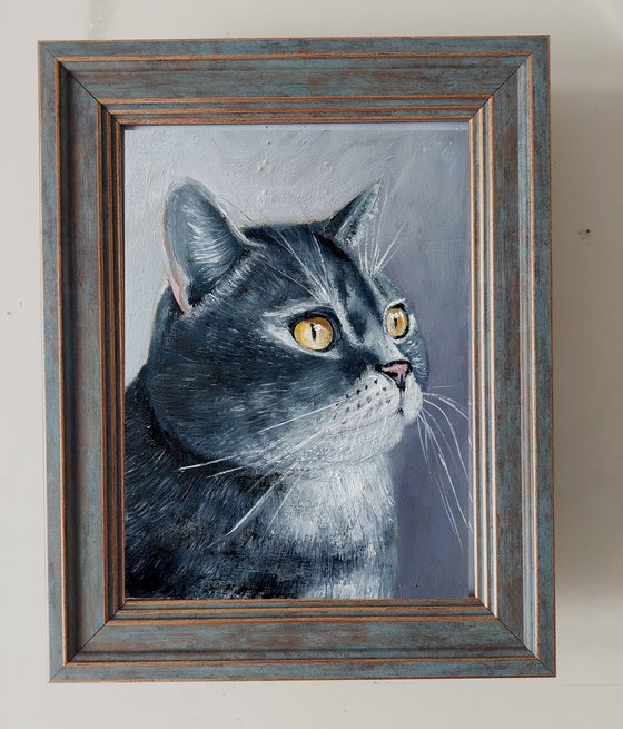 Whiskered Wonder