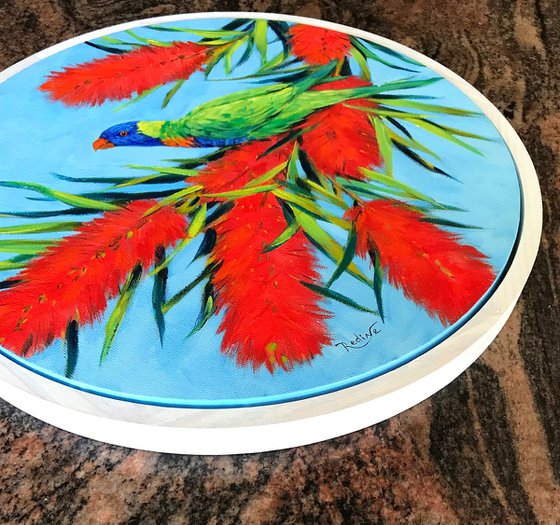 Rainbow Lorikeet in Blossoms