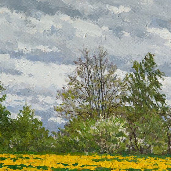 Dandelion Field