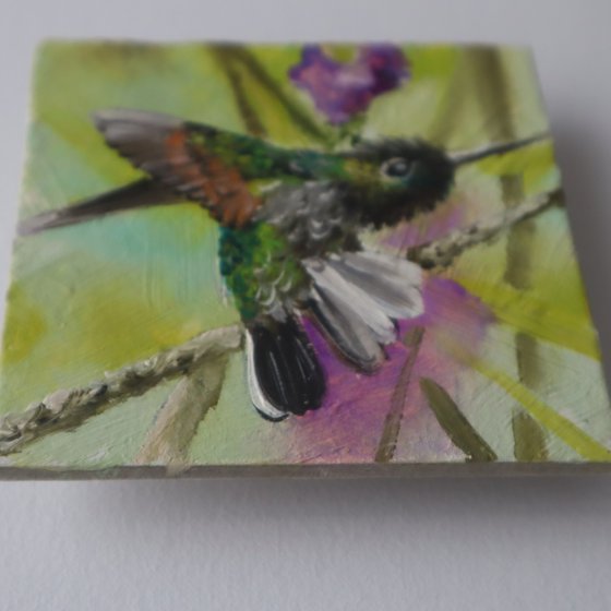 Hummingbird and Purple Flower, Set 2