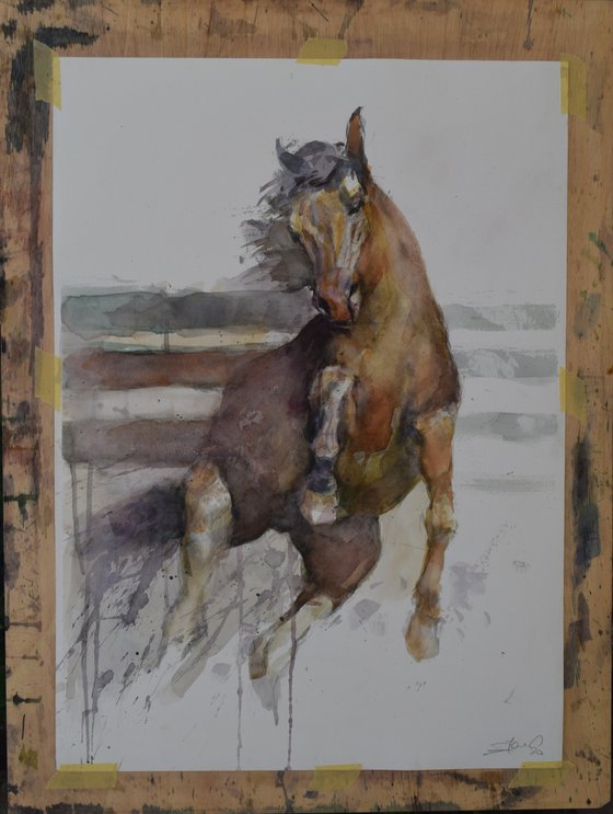 Prancing  horse (70x50)