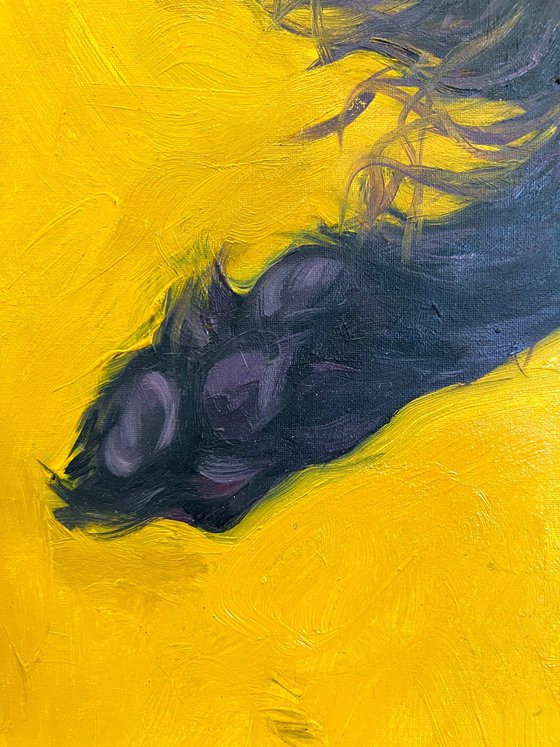 Black Hound on Yellow