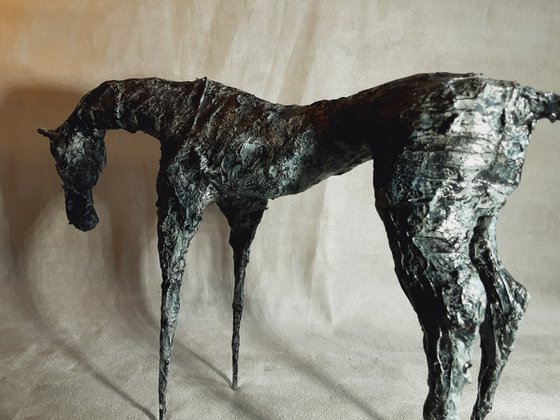 Nurtured In Solitude