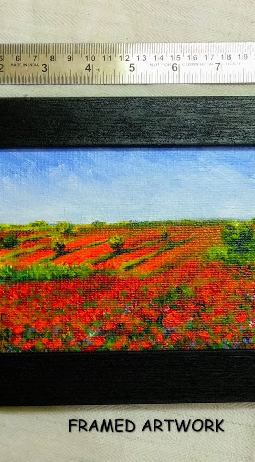 Miniature Poppy meadow landscape by Asha Shenoy