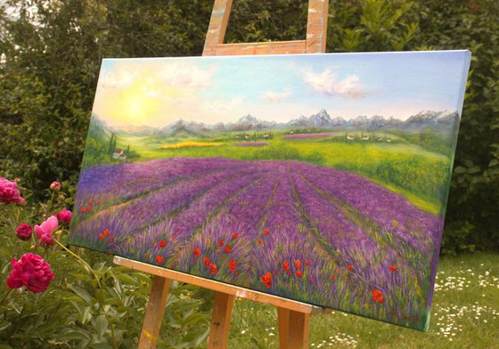 Lavender Provence