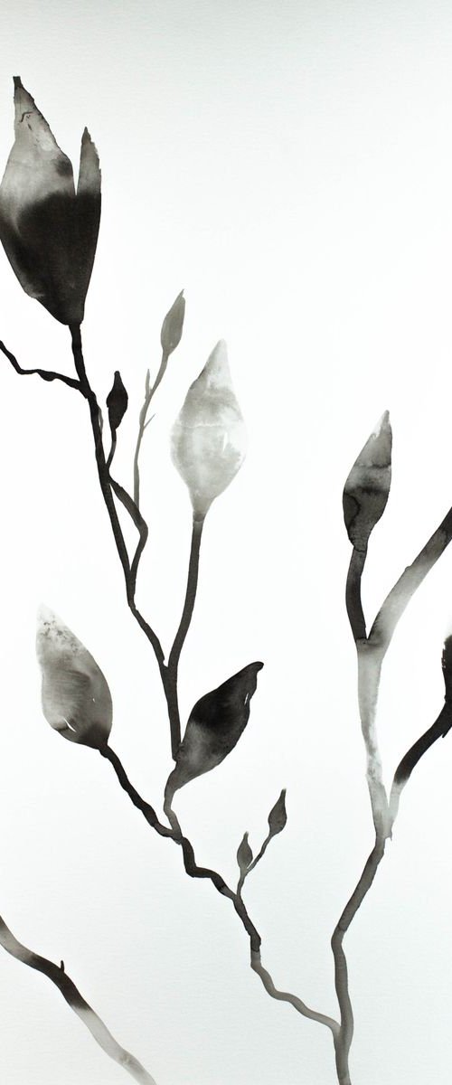 Magnolia Buds No. 6 by Elizabeth Becker