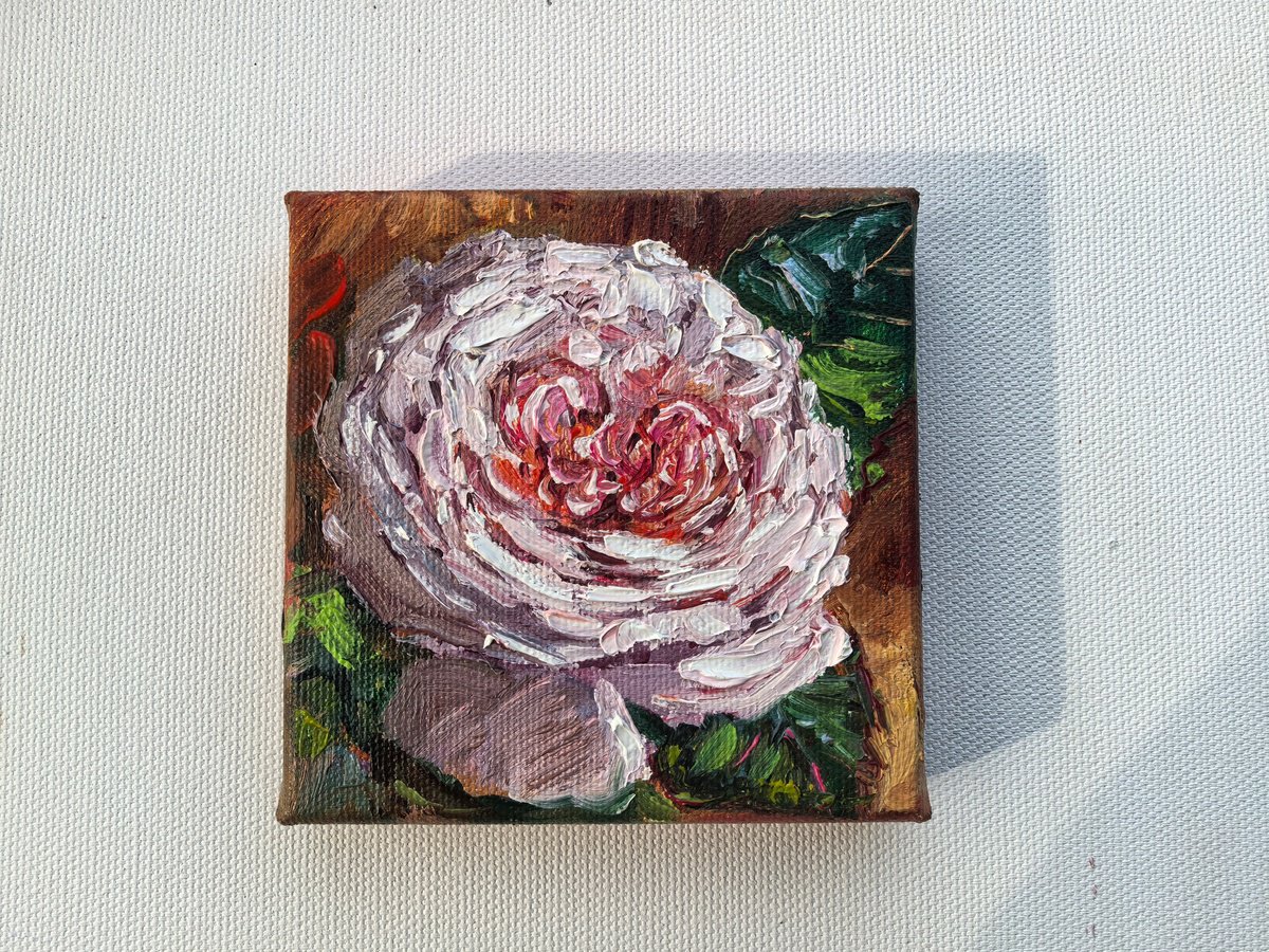 Pink Rose Mini Still Life By Leyla Demir, 4 X 4, Artwork For Sale On Artfinder
