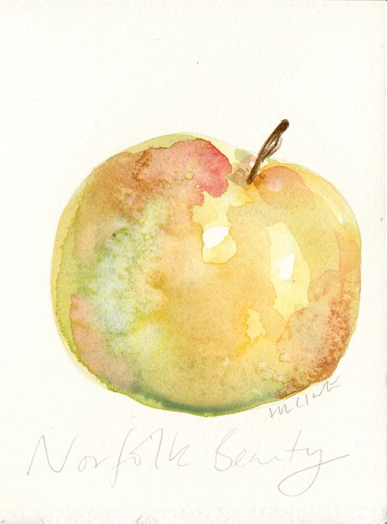 Norfolk Beauty Apple Watercolour