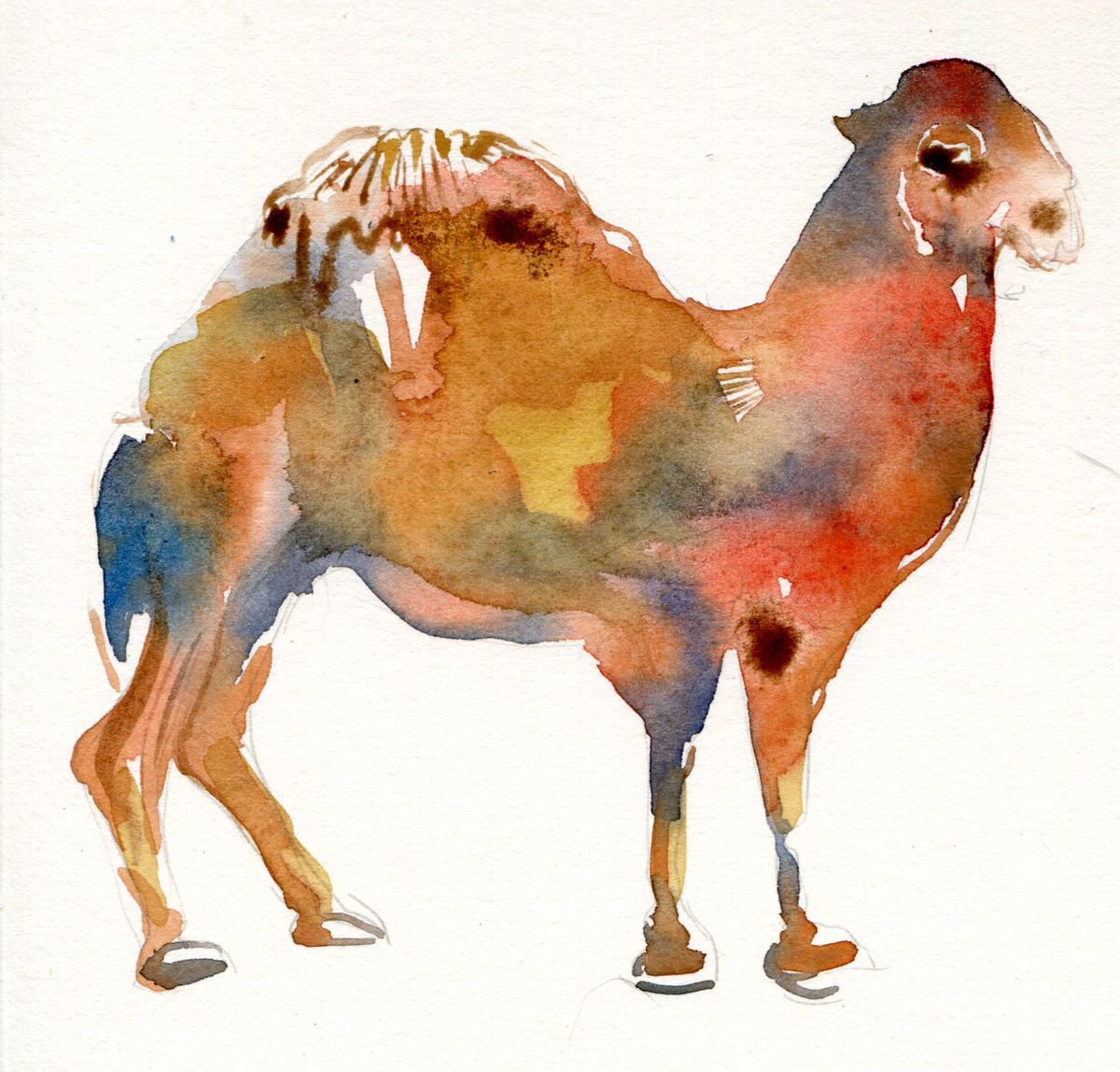One Humped Camel by Hannah Clark