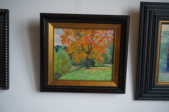 Autumn maple by the pond