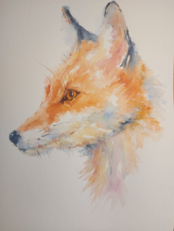 Watercolour fox