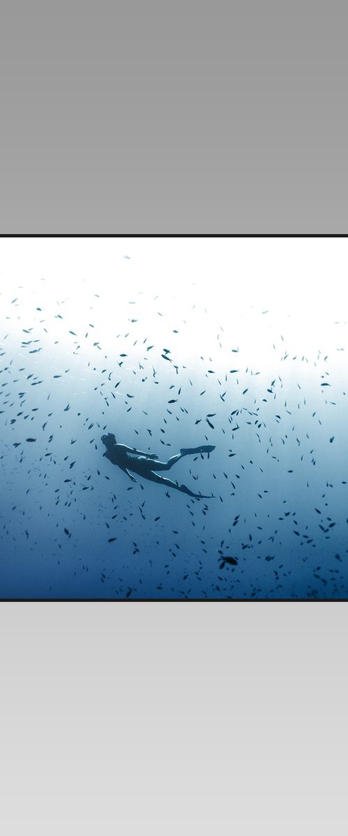 Freedive Surrounded by Fish by 27MM