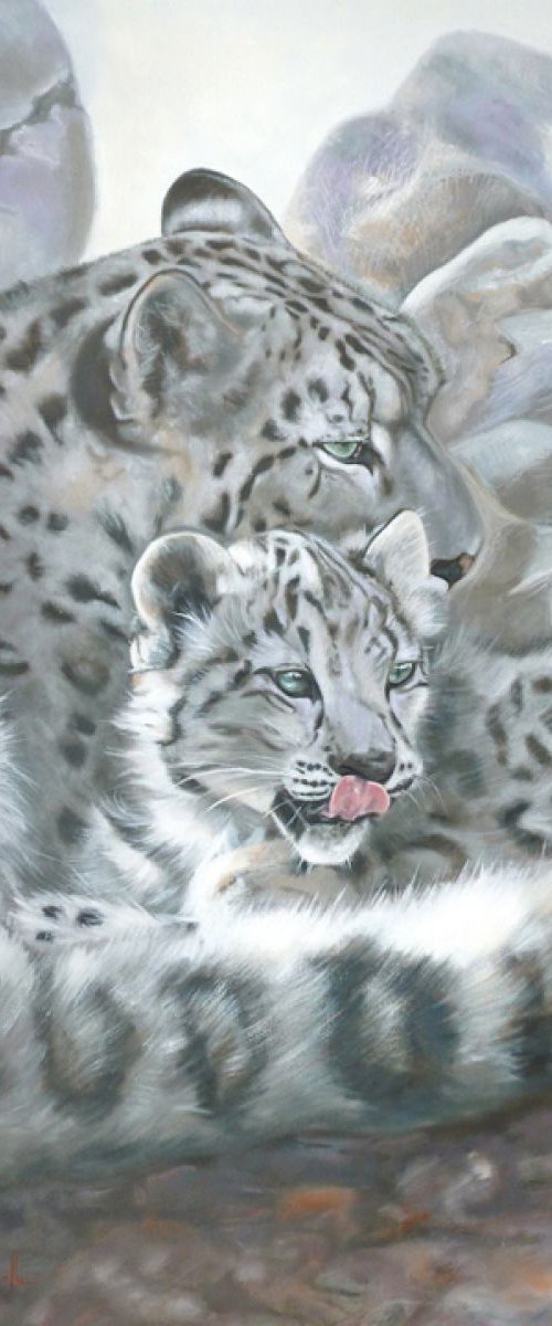 Snow Leopard Love by Nicola Colbran