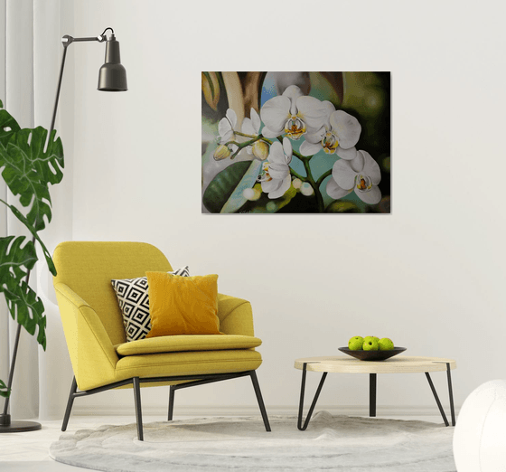 White Orchids Floral