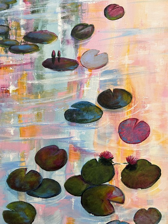Water Lilies At Sunset 9