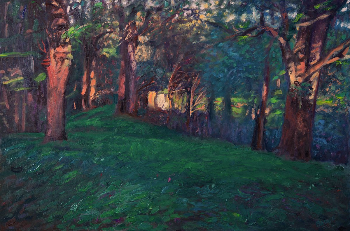 Twilight in the forest by Wojciech Pater