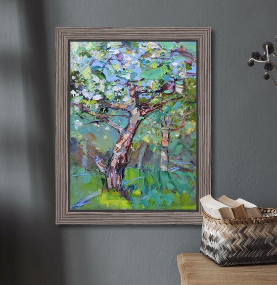 Apple tree blossom