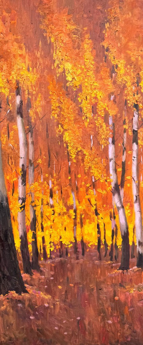Autumn Birch Forest by Evgeniia Mekhova