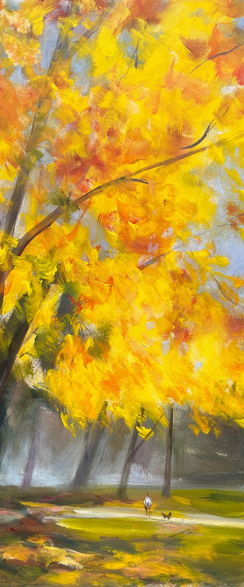 Autumn in Hyde park by Shelly Du