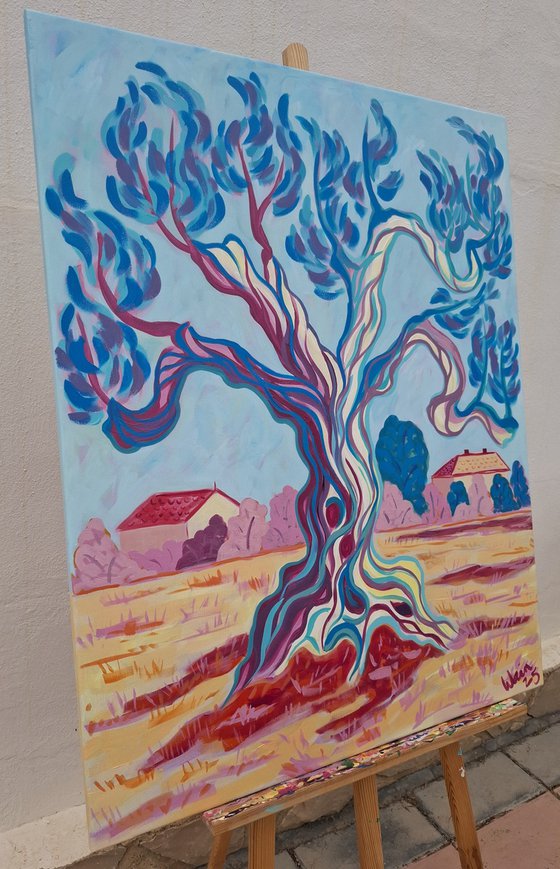 Olive tree on Cami de Altea 2