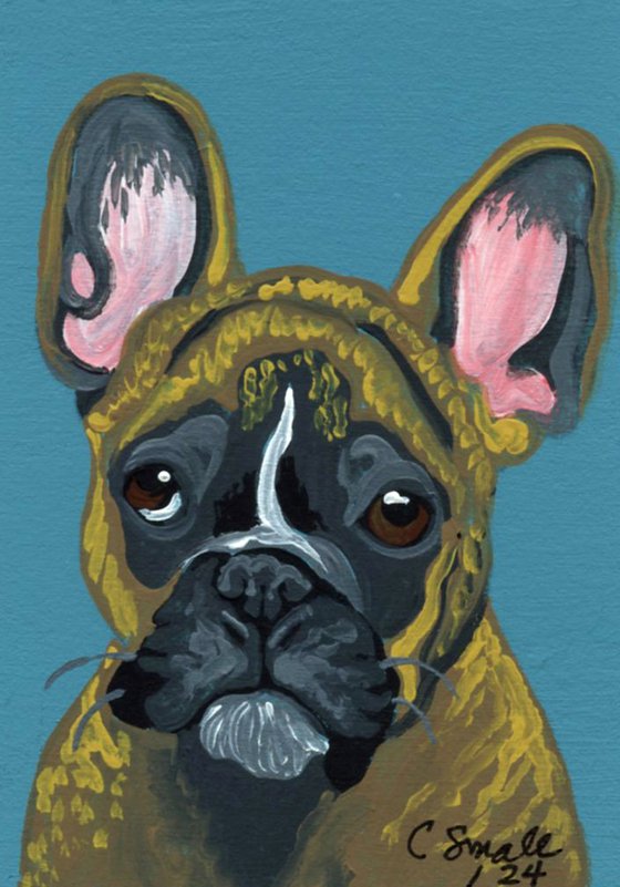 Brindle French Bulldog