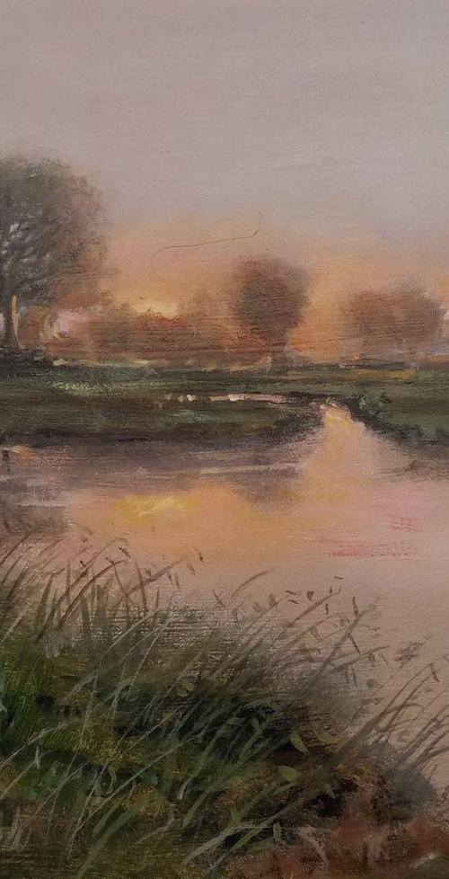 Meadows8 by Vishalandra Dakur