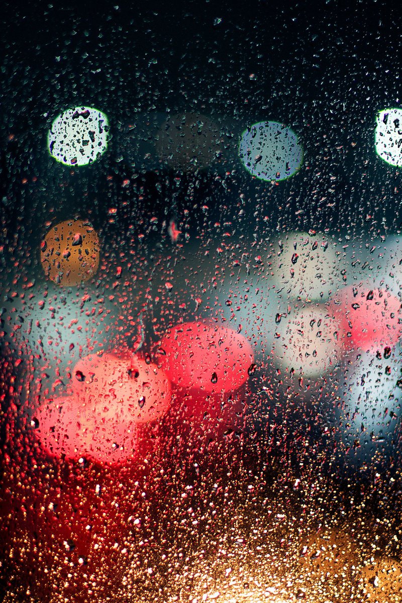 Organic Landscape Photograph By Journey Gong, 16 X 24", And It Rained All Night, Original Artwork