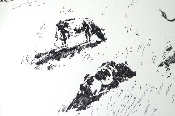 Grazing cows