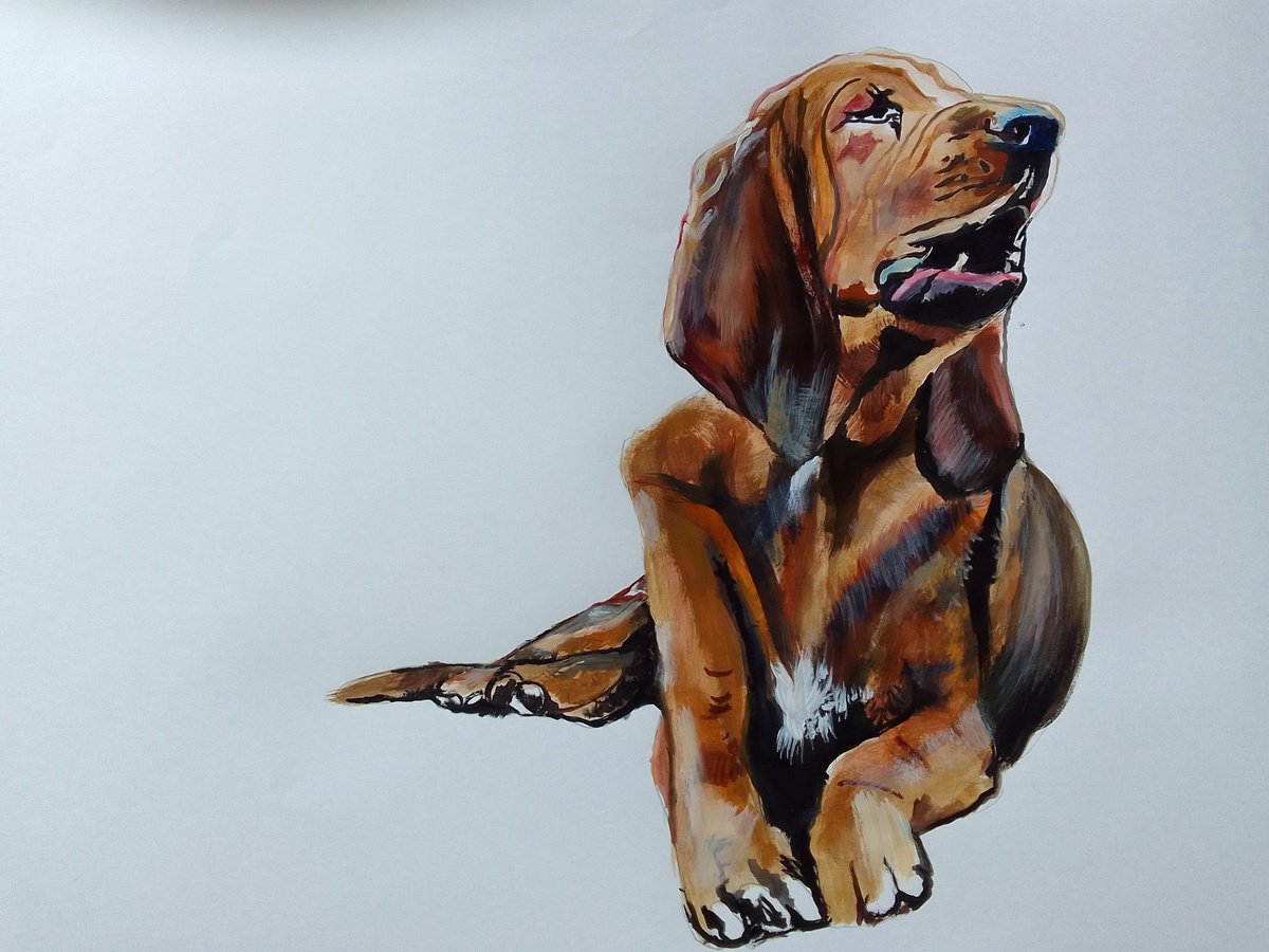 Bloodhound by Soso Kumsiashvili