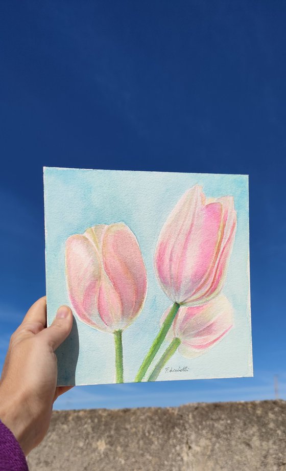 Pink tulips