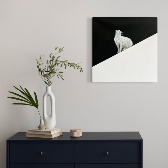 Minimalist Cat Vibes