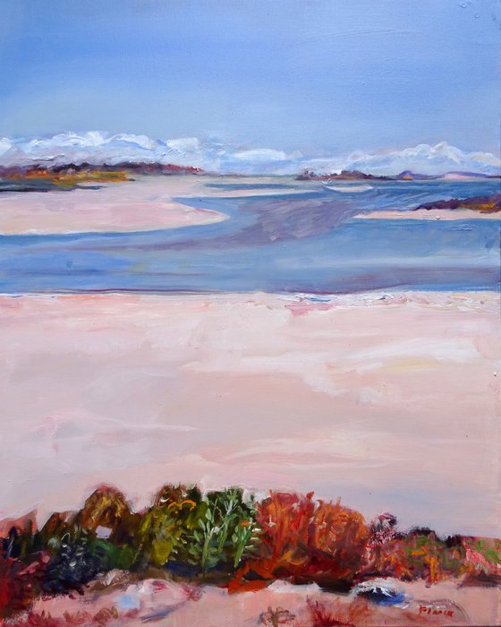 SEASCAPE - THE COORONG