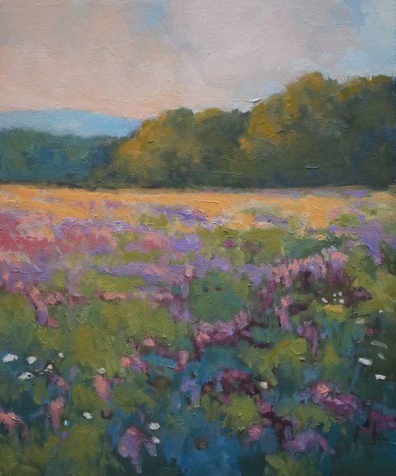 Wildflower Meadow, Damariscotta