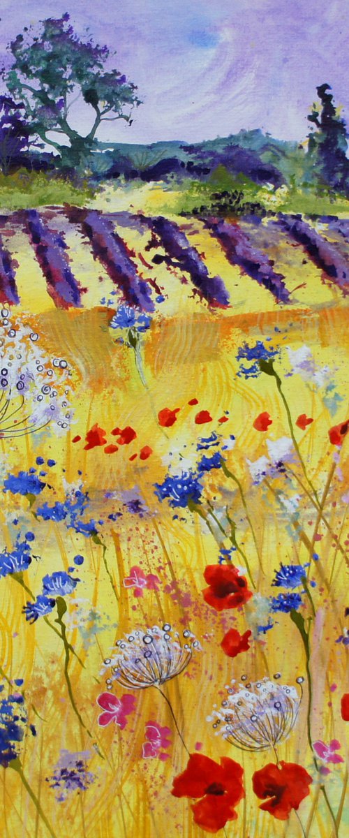 Poppies, Cornflowers, Wild Carrot and Lavender by Julia  Rigby