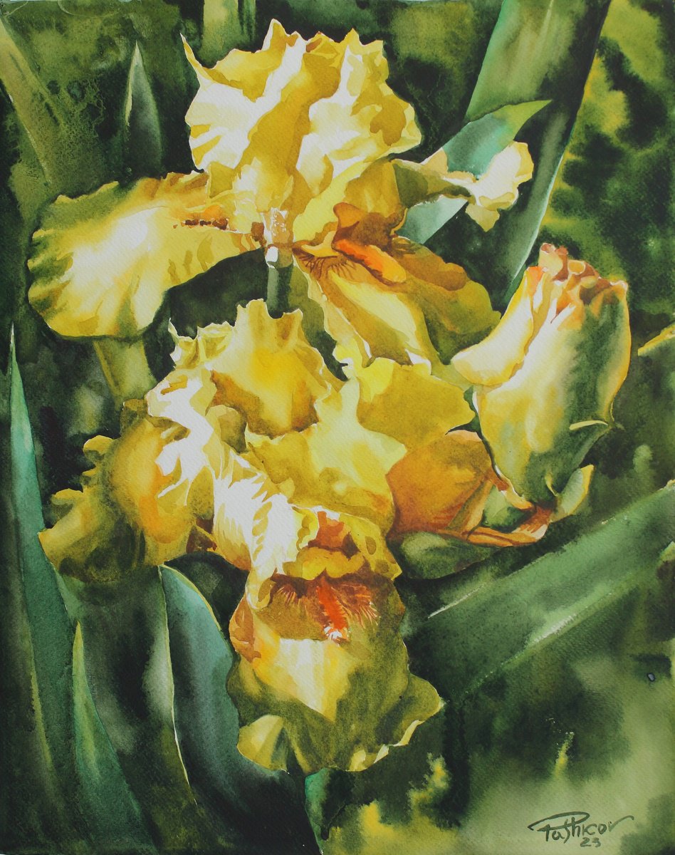 Impressionistic Botanical Watercolour By Yurii Pashkov, 15 X 19", Yellow Irises, Original Artwork