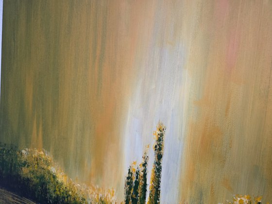 Autumn Illuminations