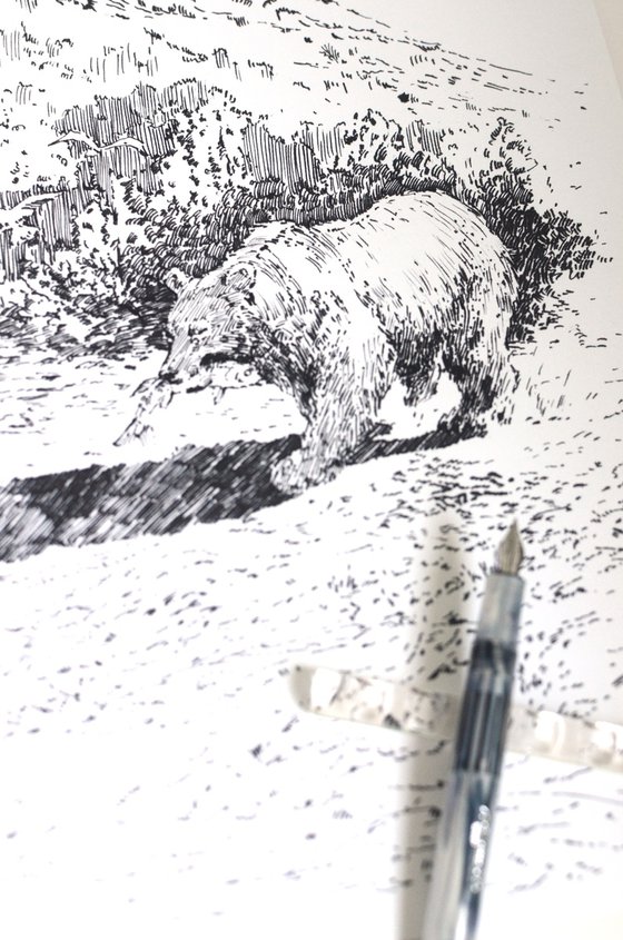 A Bear Fishing
