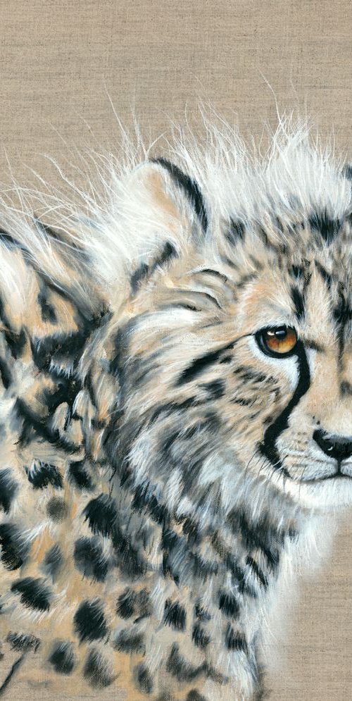 'Willow' by Nicola Colbran
