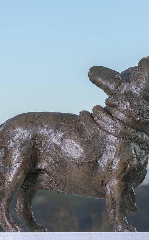 French Bulldog Lifting Paw BR by Tanya Russell