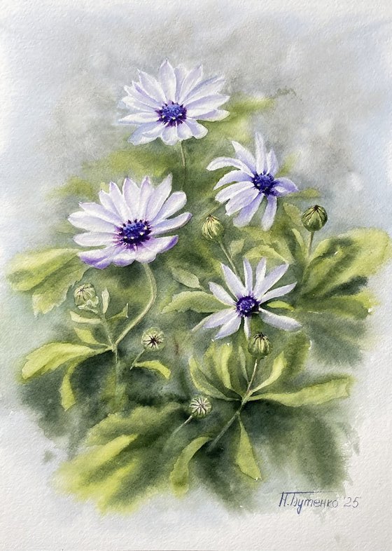 Blue eyes, white flowers, original