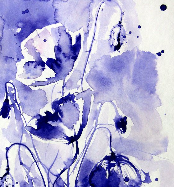 Purple poppies III