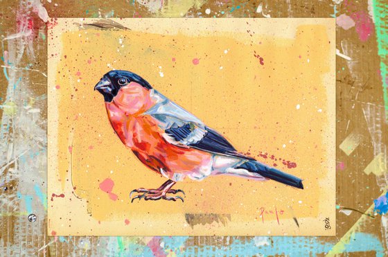 Bullfinch