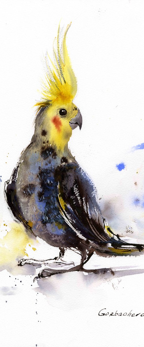 Parrot by Eugenia Gorbacheva