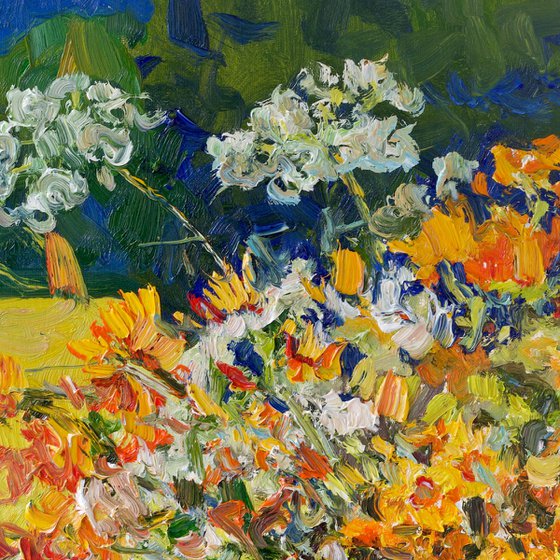 Morning. Wildflowers
