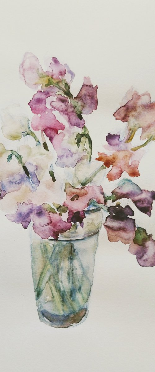 Sweet pea (Charming). Original watercolour painting. 2021 by Elena Klyan