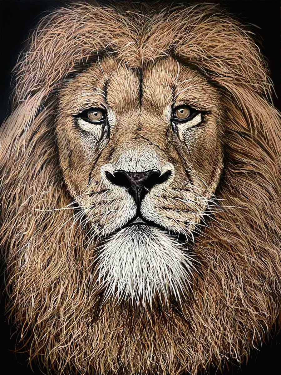 Lion by Elena Adele Dmitrenko